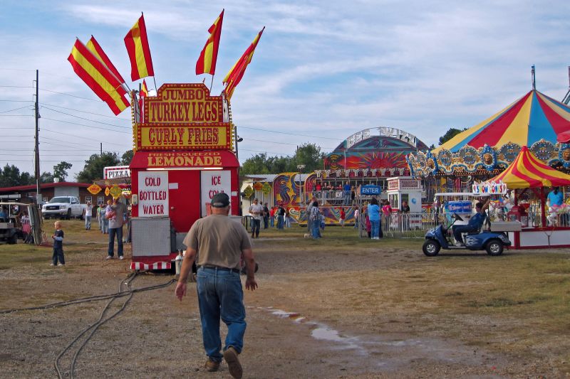 Polk County Fair 27