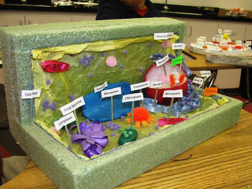 PLANT CELL