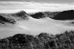 Wild Dunes 09.12.03_35