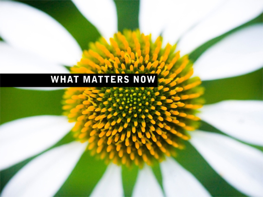 cover What matters now