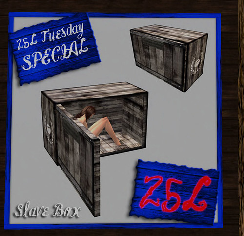 25L Torvalds Forge Slave Box