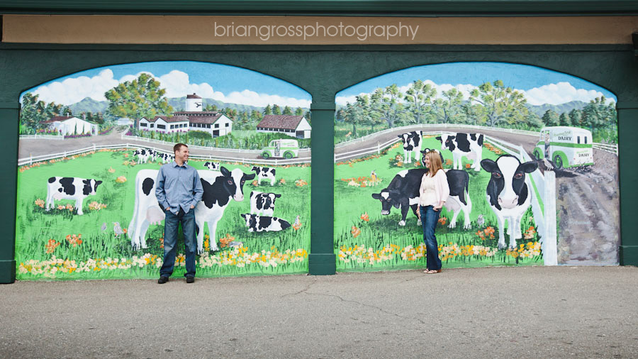 JohnAndDanielle_Pleasanton Engagement Photography_Brian Gross Photography 2011 (33)