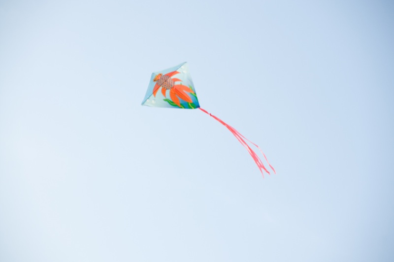 yw-go fly kite-marina barrage-090824-0012.jpg