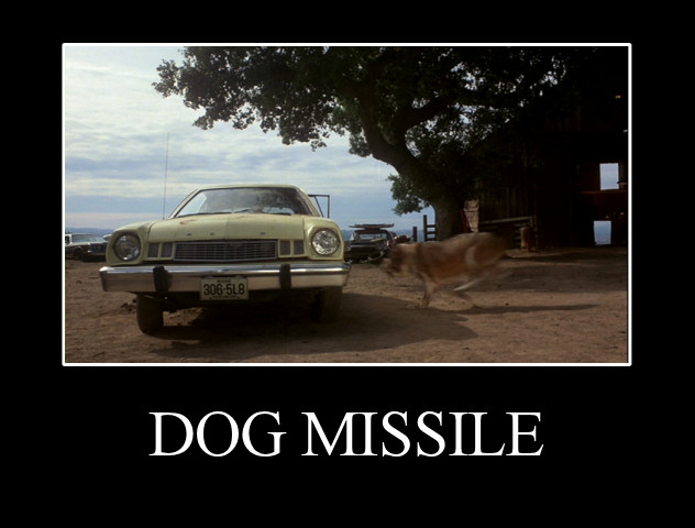 dog_missile