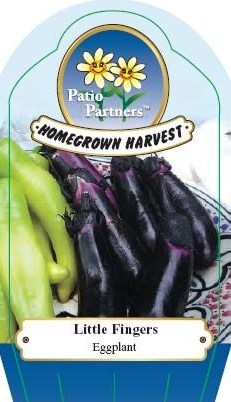 Plant label aubergines