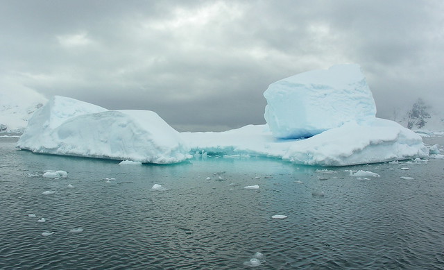 ANTARCTICA2010-488 Andvord Bay 南極 Andvord灣