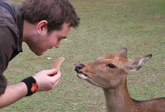 Feeding the Deer- they aren't as obedient as Pickles