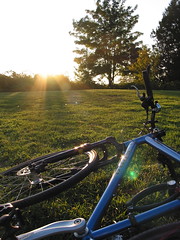 Bike in the grass