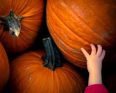 reaching for Halloween...