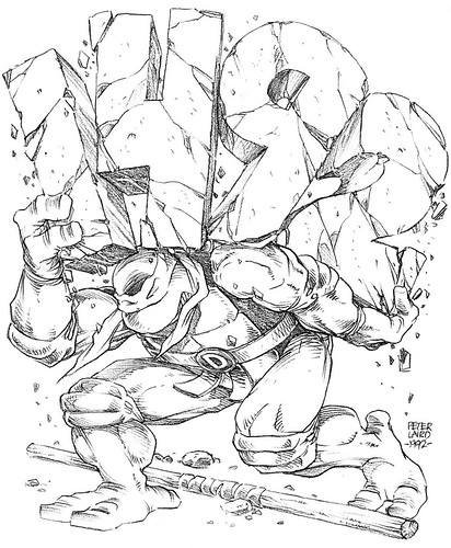 Blast from the Past #242:  "Teenage Mutant Ninja Turtles Adventures"  #40 cover pencils by Laird  (( 1992 )) [[ Courtesy of PL ]]