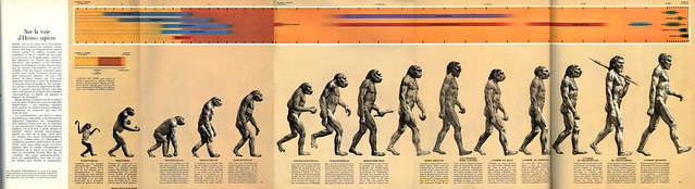 Rudolf Zallinger, The Road to Homo Sapiens, illustration pour The Early Man, 1965 (dépliant ouvert).