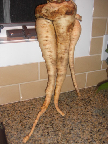 Out of Control Parsnips