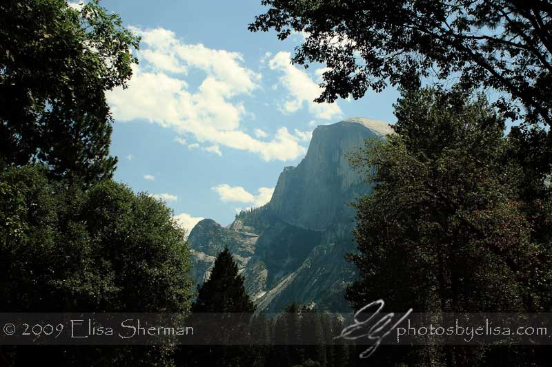 Yosemite by Elisa Sherman