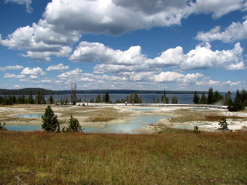 Thermal pools along Yellowstone Lake