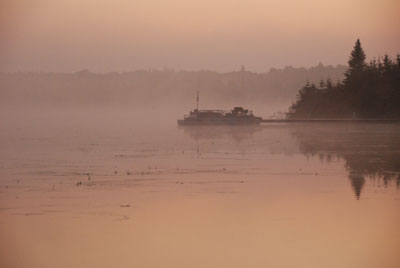 foggy lake morning