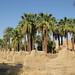 Temple of Luxor, Avenue of the Sphinxes (5) by Prof. Mortel