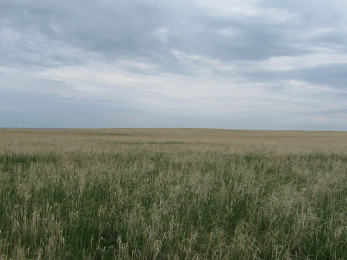Eastern Steppe - Mongolia
