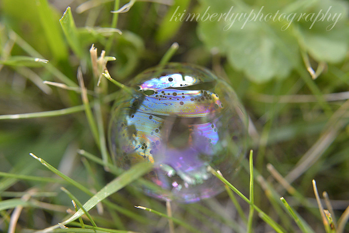 bubbles-sooc7