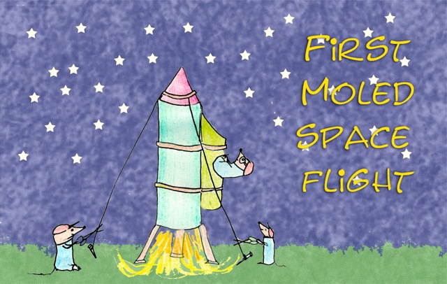Reconstruction of first moled space flight