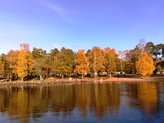 Fall at Lake Vänern in Sweden #4