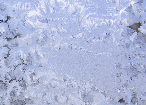 Frost on the Window 3