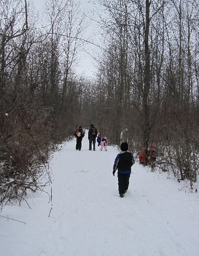 Winter Trail Walk
