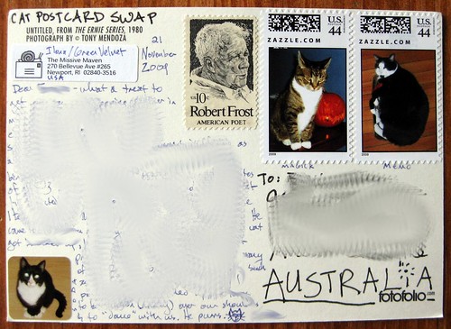 cat postcard swap