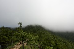 雲の中の登山道