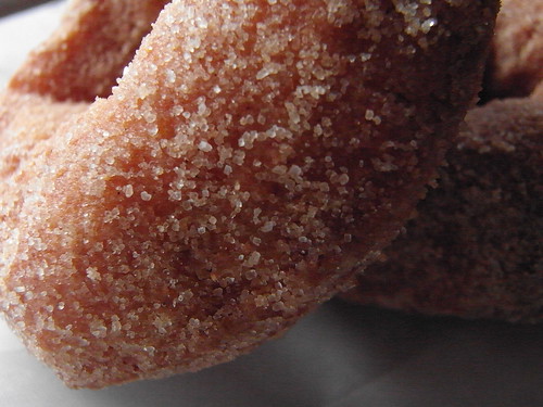 09-09 donut