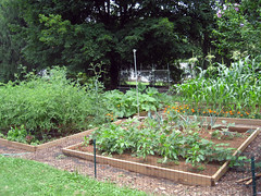 garden view mid-july