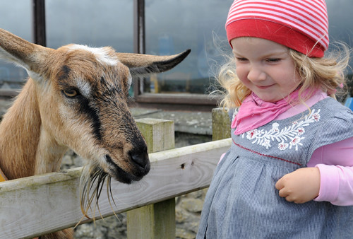 Una with Goat