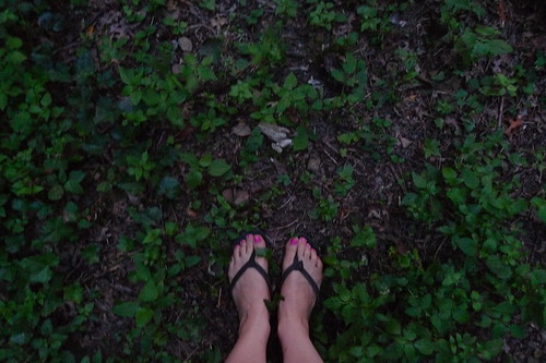 my feet and firefly hunting in NJ
