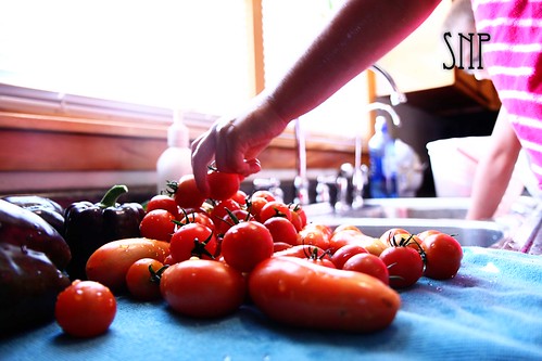 . emma washing the tomatoes .