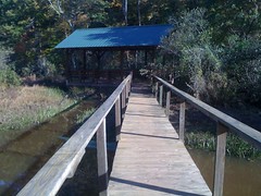  Tumbling Creek Wetland Pavillion