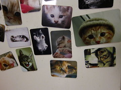 kitty magnets