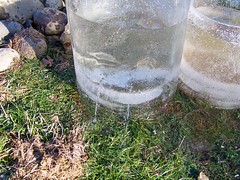 Ice bucket leaking
