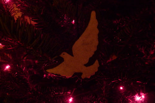 mid-tree dove, funkily lit