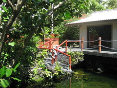 Pond, house rental, Lagoon Shangrila