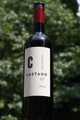 Castano 2007 Monastrell Yecla Wine