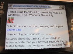 WCTMB running on Windows Mobile 6.5 (IE6)