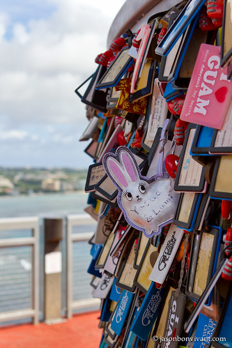 A Wishful Rabbit at Two Lover's Point (Guam)