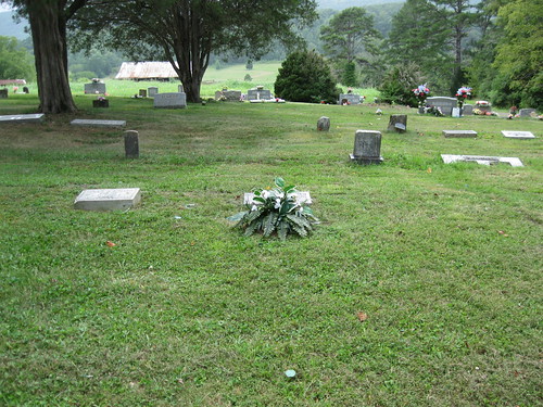 Mother's Grave from a Distance