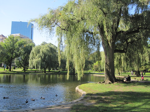 Boston common and public park