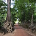 Angkor Thom, near the North Gate (2) by Prof. Mortel