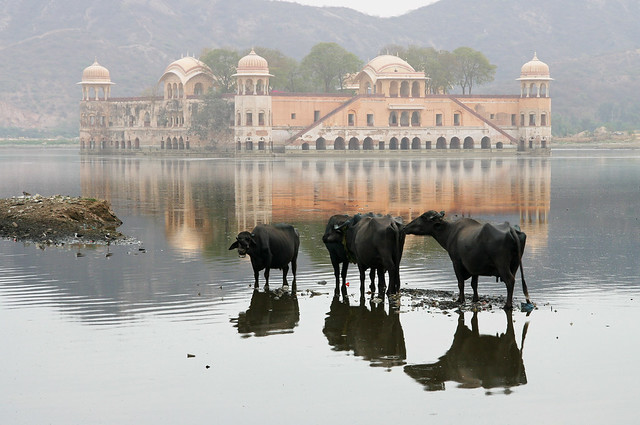 ephemeral and real.Rajasthan.Индия.India