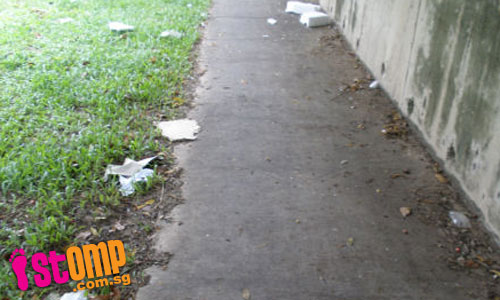 Jalan Buroh overcrowded with plants and covered in litter
