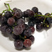 Tuesday, September 22 - Concord Grapes