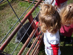 Lilliann Petting A Goat