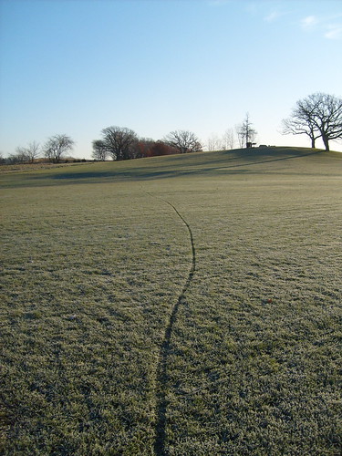 Grass Track