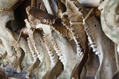 Banaue Ethnic Village Skulls and Bones